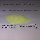 Yellow Powder Trenbolone Enanthate Hormone Anabolic Steroid Powder
