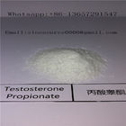 CAS 57-85-2 Legal Injectable Steroids Testosterone Propionate 100mg/ml Bodybuilding Supplements
